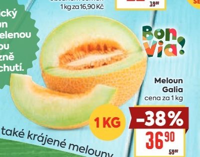 Meloun Galia