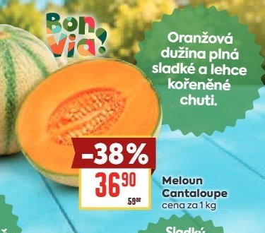 Meloun Cantaloupe