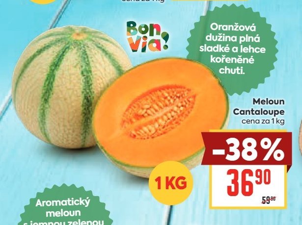 Meloun Cantaloupe
