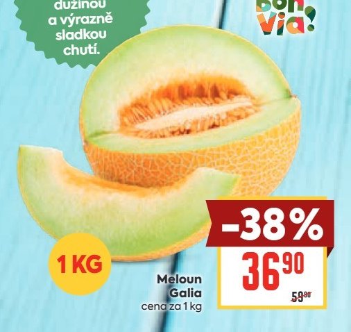 Meloun Galia