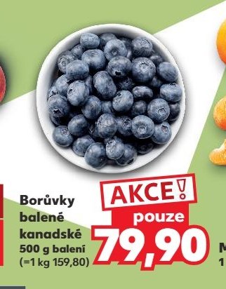 Borůvky kanadské