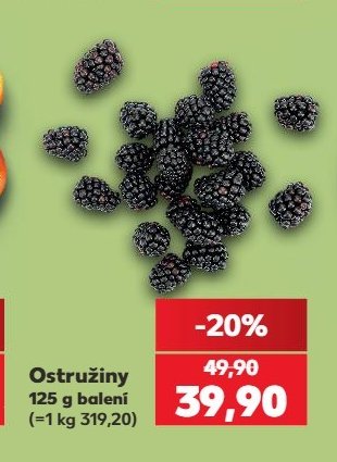 Ostružiny
