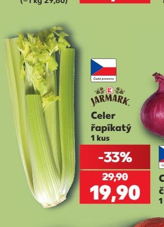 Celer řapíkatý
