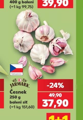 Česnek