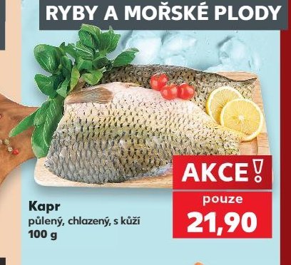Kapr