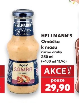 HELLMANN'S Omáčka k masu 250 ml