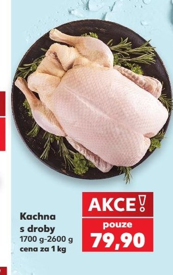 Kachna s droby