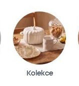 Kolekce