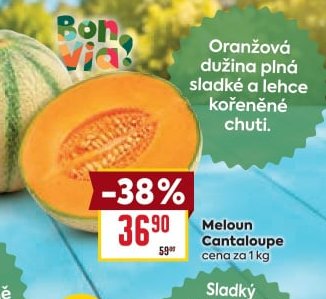 Meloun Cantaloupe