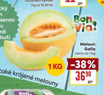 Meloun Galia