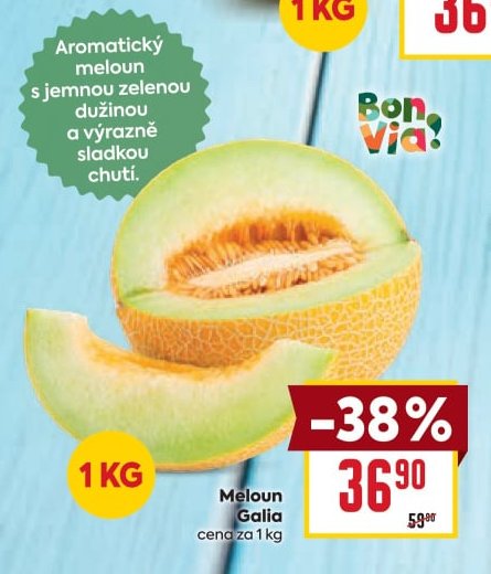 Meloun Galia