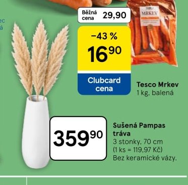 Sušená Pampas tráva