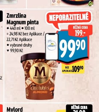 Zmrzlina Magnum pinta