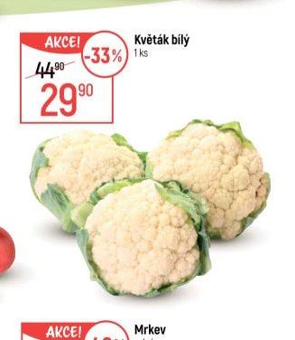 Květák bílý