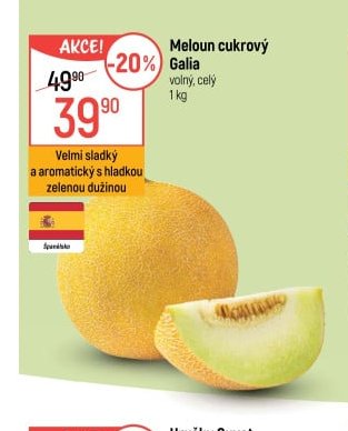 Meloun cukrový Galia