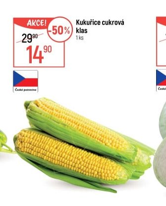 Kukuřice cukrová