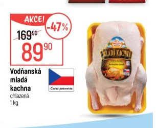 Vodňanská mladá kachna