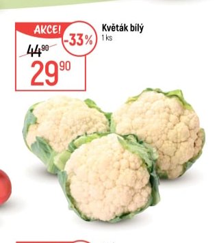 Květák bílý