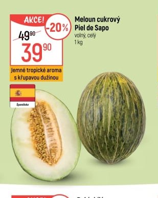 Meloun cukrový Piel de Sapo