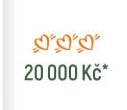 20 000 Kč*