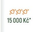 15 000 Kč*
