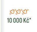10 000 Kč*