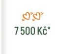 7 500 Kč*
