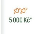 5 000 Kč*