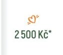 2 500 Kč*