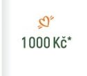 1 000 Kč*