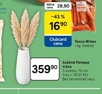 Sušená Pampas tráva