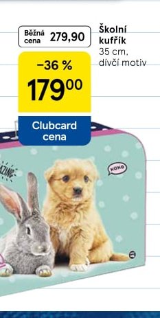 Školní kufřík 35 cm, dívčí motiv