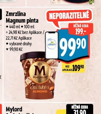Zmrzlina Magnum pinta