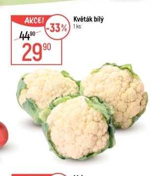 Květák bílý