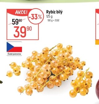 Rybíz bílý
