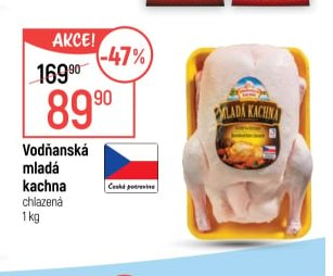 Vodňanská mladá kachna