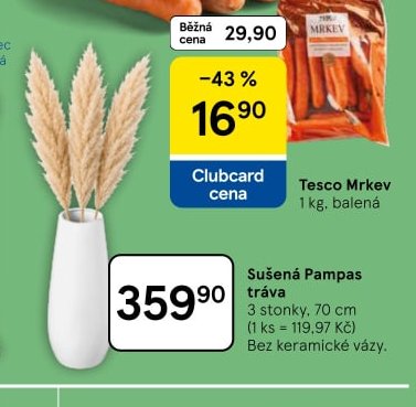 Sušená Pampas tráva