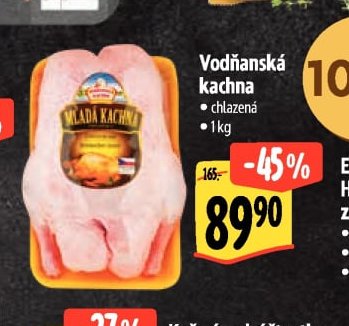 Vodňanská kachna