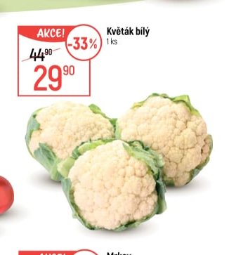 Květák bílý