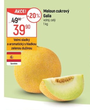 Meloun cukrový Galia