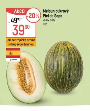 Meloun cukrový Piel de Sapo