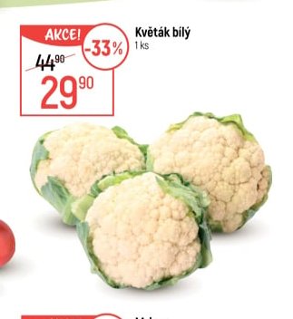 Květák bílý