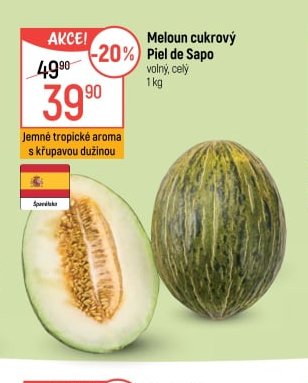Meloun cukrový Piel de Sapo