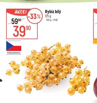 Rybíz bílý