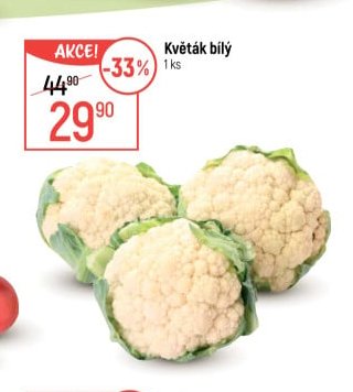 Květák bílý