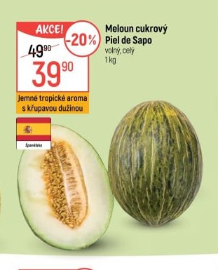 Meloun cukrový Piel de Sapo