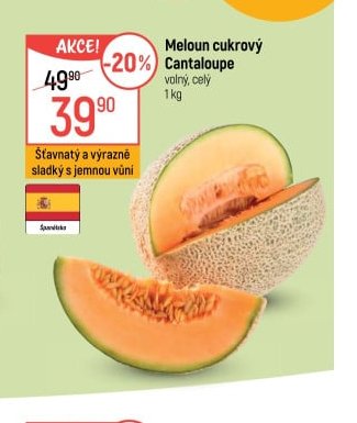 Meloun cukrový Cantaloupe