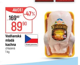 Vodňanská mladá kachna