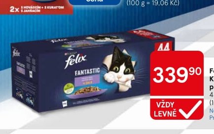 Felix Fantastic