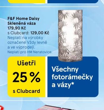 F&F Home Daisy Skleněná váza